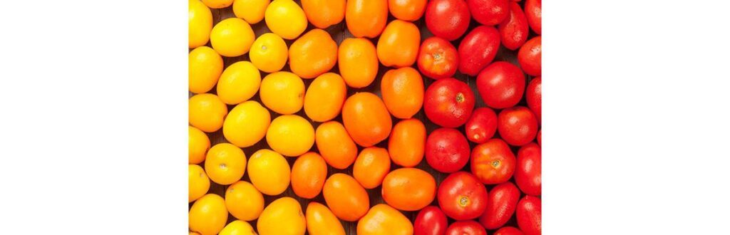 o-que-esperar-gravidez-multiplos