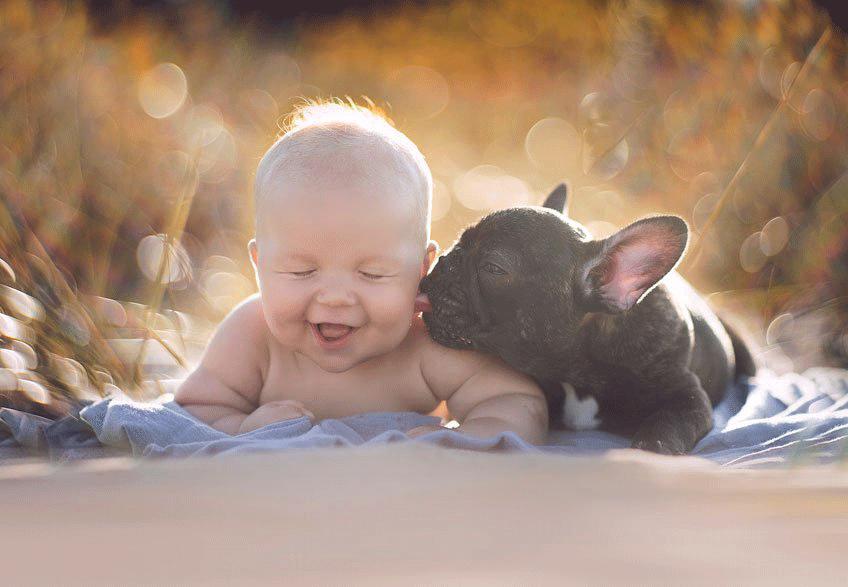 amizade-bebe-bulldog-02