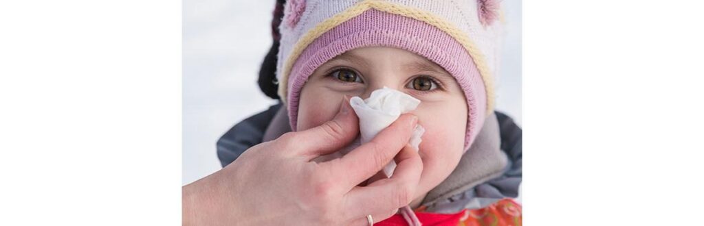 Limpar alimentos mastigados ou cupidos vira parte da rotina, sem drama nenhum