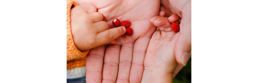 Apreciar os pequenos momentos é uma das formas de criar filhos mais gratos