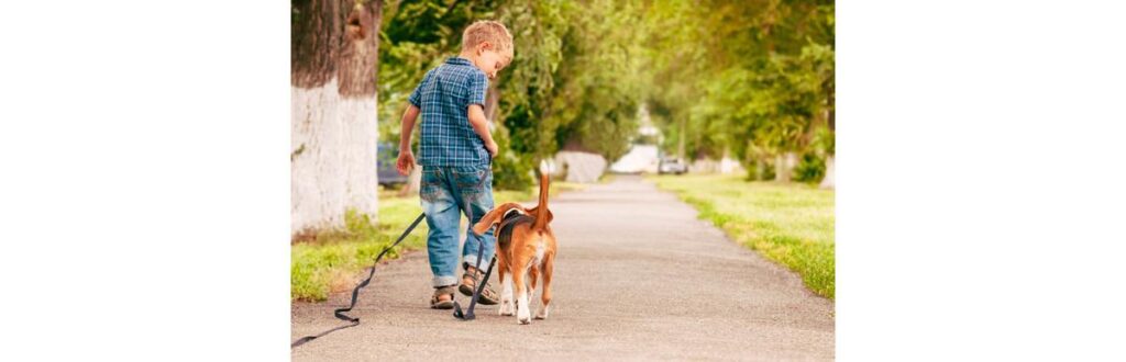 As crianças adoram pets e ficam arrasadas quando algo ocorre com os bichinhos