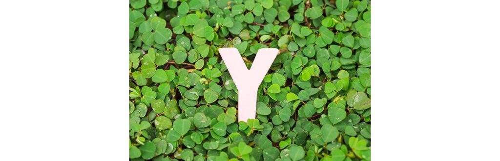 As letras “i” dos nomes não podem ser trocadas pelo “y”