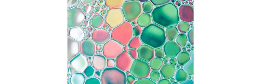 Família de crianças com microcefalia podem solicitar benefício no INSS