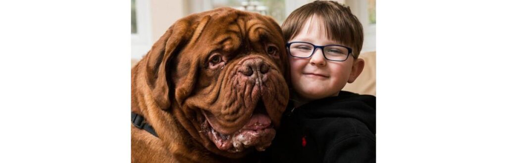 Mark e seu cão Alfie têm 5 anos de idade