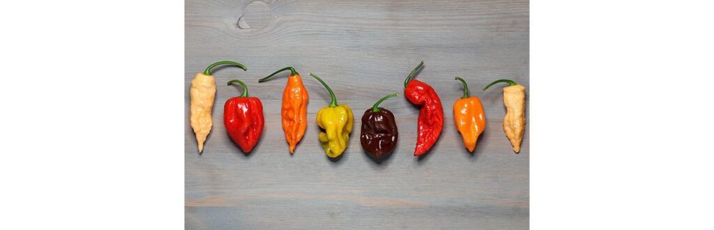 As crianças podem mudar o temperamento em instantes