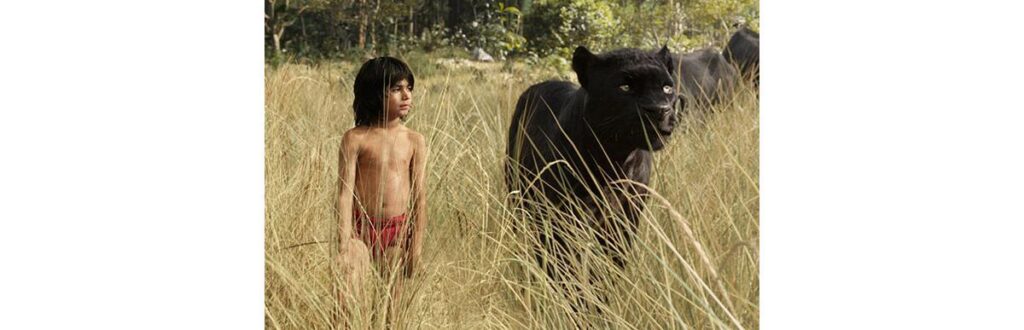 Estes são Mogli e Bagherah, melhores amigos!