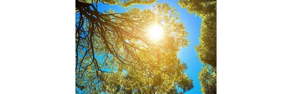 É importante se atentar aos horários e à duração do banho de sol em recém-nascido