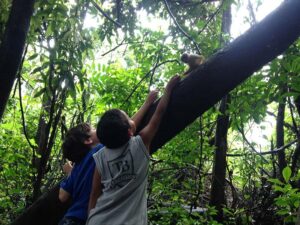 A natureza está de olho em você