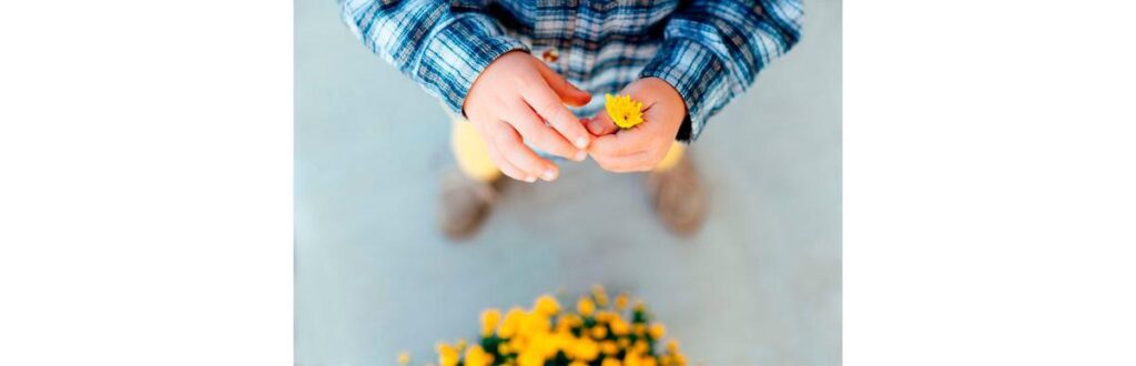 shutterstock_332480045_