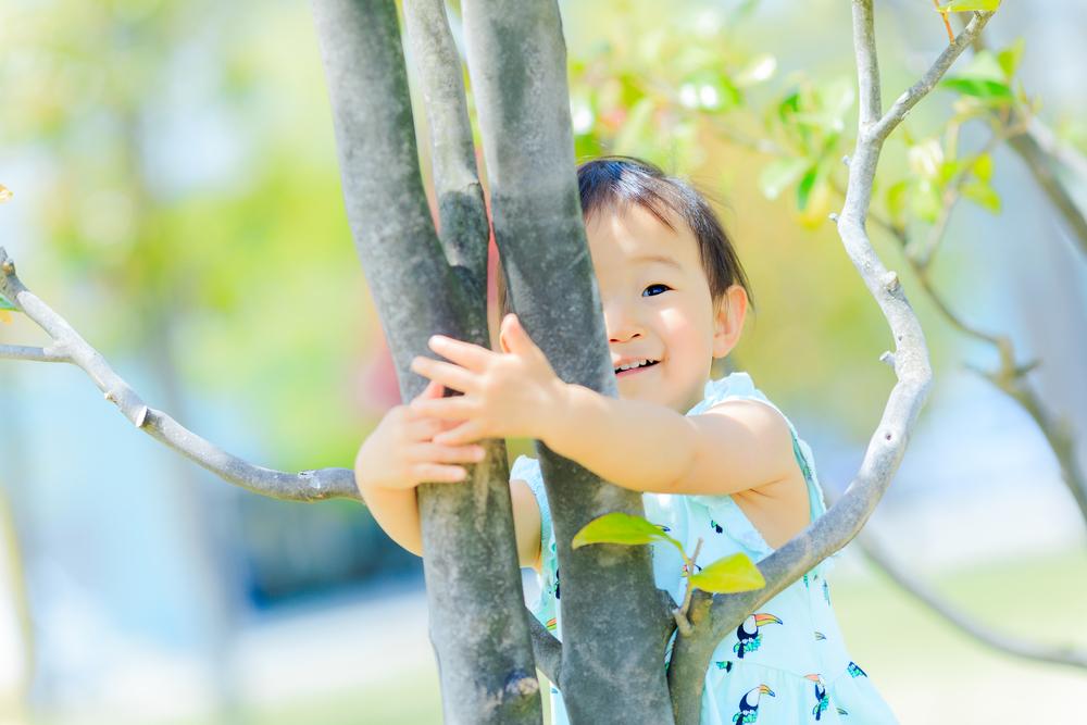 shutterstock_639303283