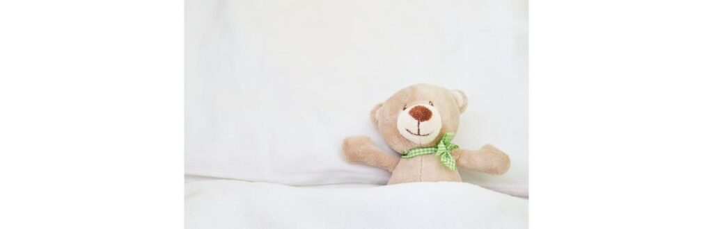 bear-picture-id504456416