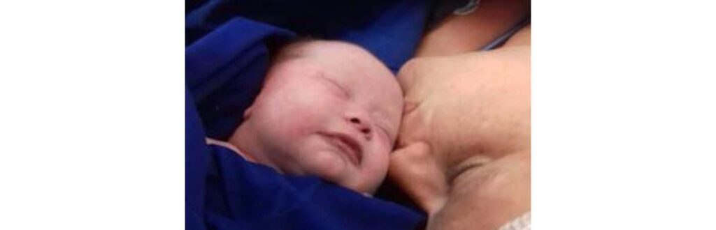 Crédito: Reprodução