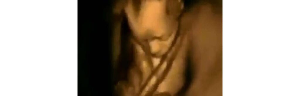 Créditos: Facebook Hum Pk Hu Pk