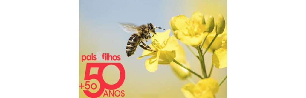 abelhanovooooooooooooo