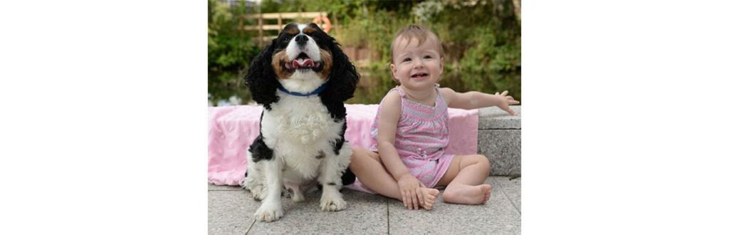 Cachorro salva vida de menina que engasgou enquanto dormia