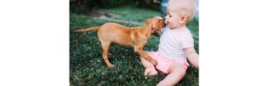 portrait-of-cute-baby-playing-with-dog-picture-id838439618