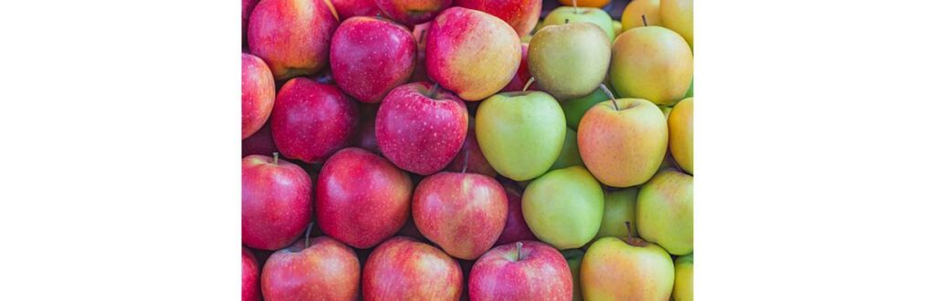 A fruta pode ser uma grande aliada contra o mau hálito