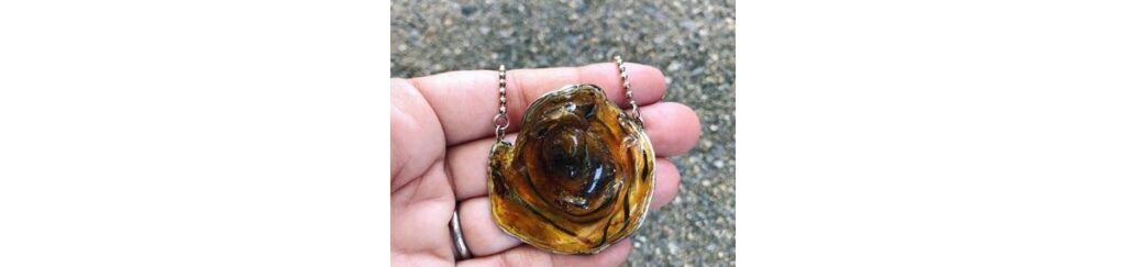 cordão umbilical cuidados