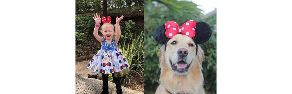 A campanha vai até o dia 17 de novembro