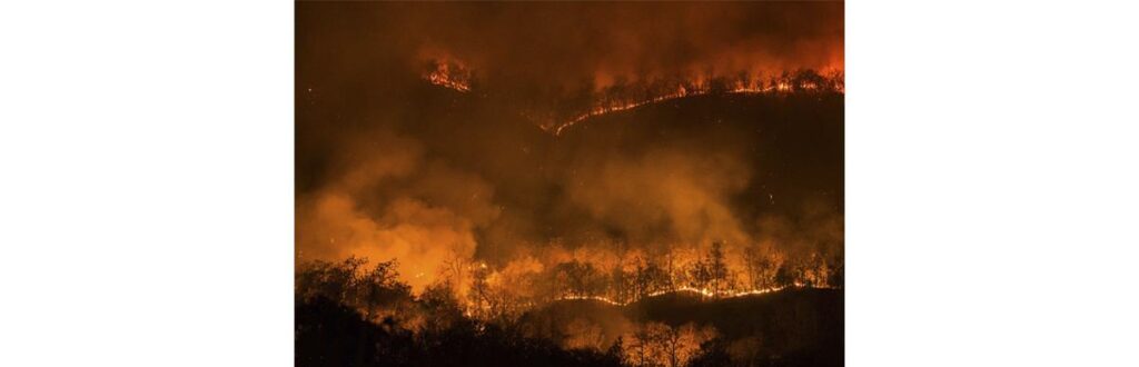 O desastre aconteceu na Floresta Nacional de Coronado, no Arizona, Estados Unidos