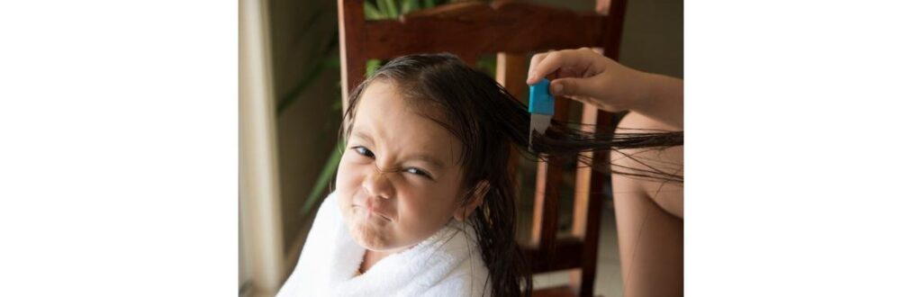 Piolhos são comuns em crianças e não são sinônimo de má higiene