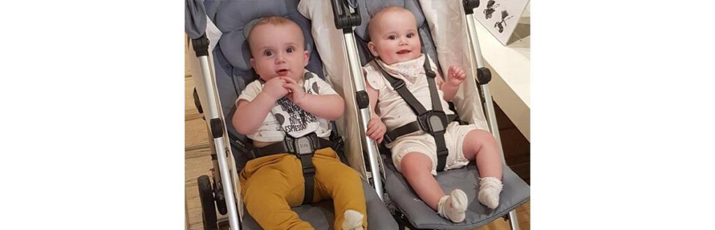 Os gêmeos foram assassinados pela própria mãe