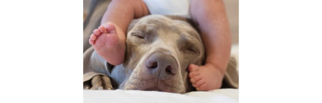 Ai meu Deus, olha só pra isso!