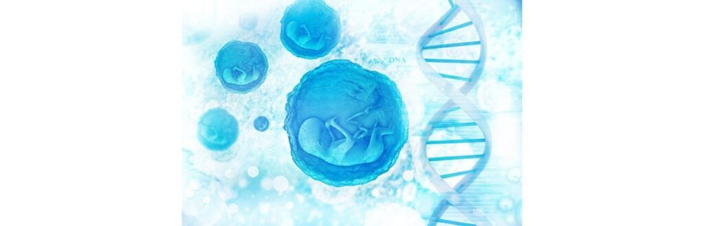 A nova técnica de reprodução humana une o material genético dos pais e doador