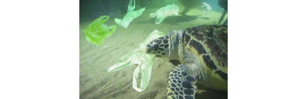 Os canudos agora serão de papel biodegradável
