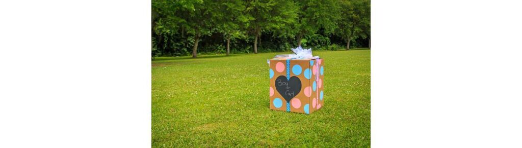 Esses chás de revelação estão cada vez mais surpreendentes