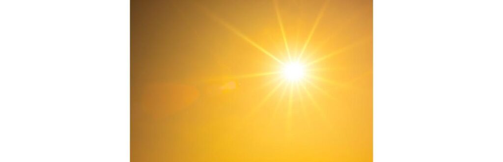 Descubra os impactos genéticos do aquecimento global