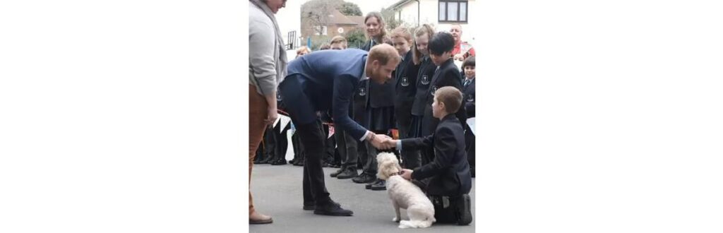 Príncipe Harry passou por uma situação complicada em uma visita