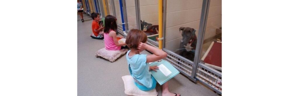 Registro das crianças enquanto liam para os cachorros