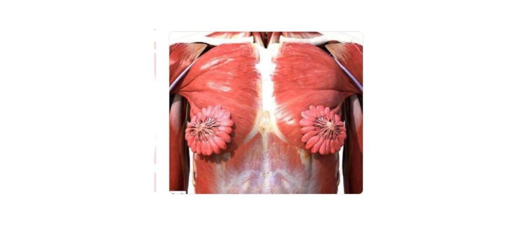 A foto foi postada no Twitter