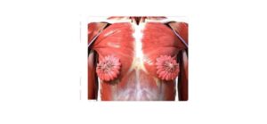 A foto foi postada no Twitter