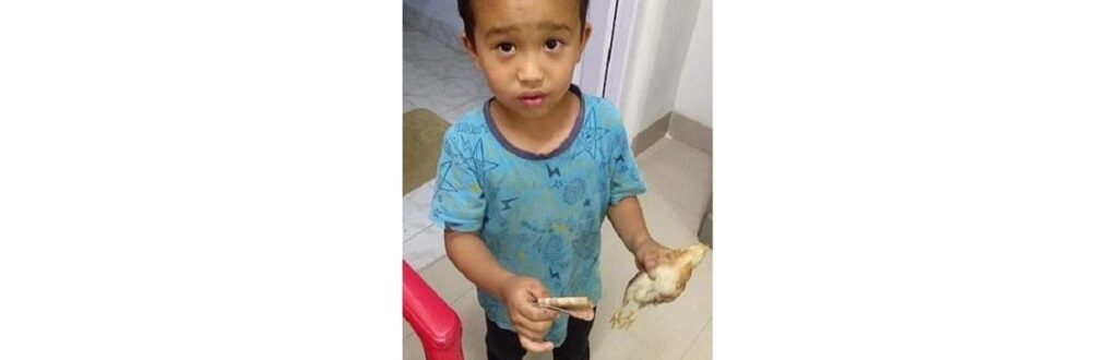 Derek atropelou uma galinha e tentou salvá-la