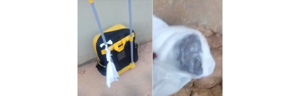 Menino volta da escola com sacola de cocô amarrada na mochila