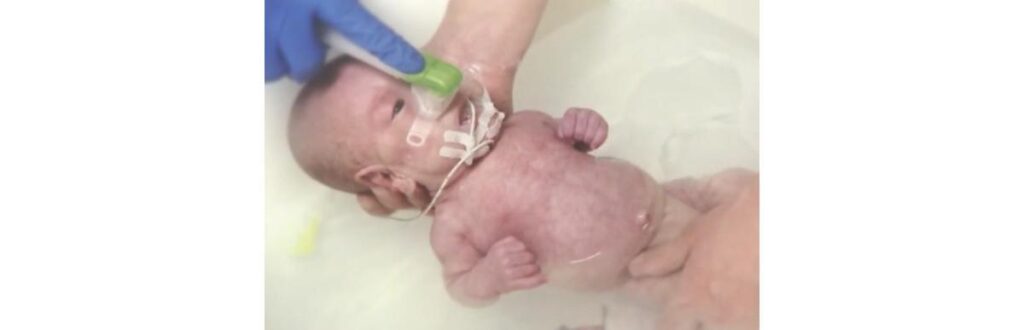 Ryusuke completou 7 meses e já foi para a casa