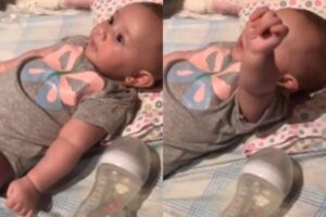 Nene faz o que o pai pede e prova que entende tudo que eles dizem