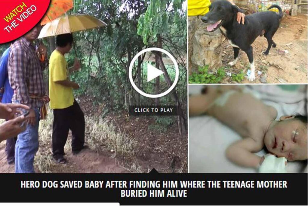 O menino foi abandonado pela mãe de 15 anos