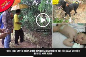 O menino foi abandonado pela mãe de 15 anos