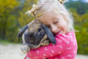 Você já ouviu falar nos mini coelhos?