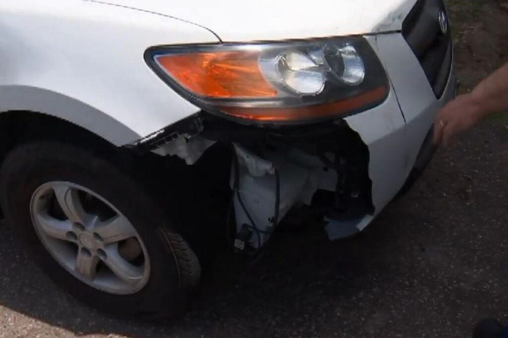 O caso aconteceu em Queensland, na Austrália