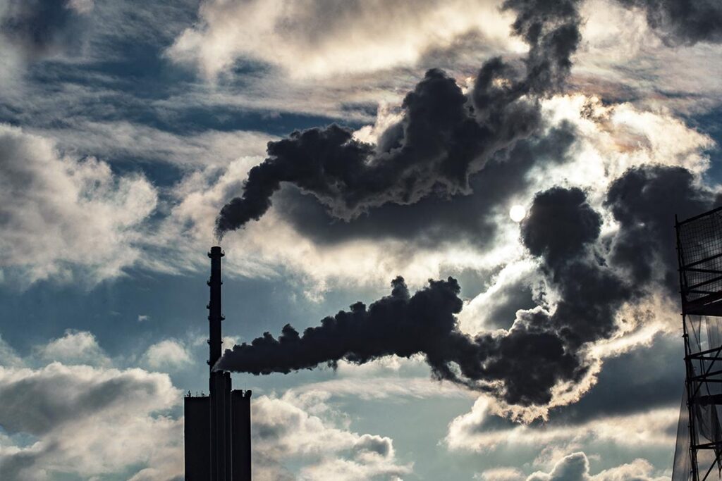 O estudo foi feito pela Universidade de Módena e Reggio Emilia, na Itália