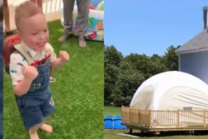 Brody amou poder sair de casa e brincar no quintal