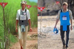 Diana e Harry na África