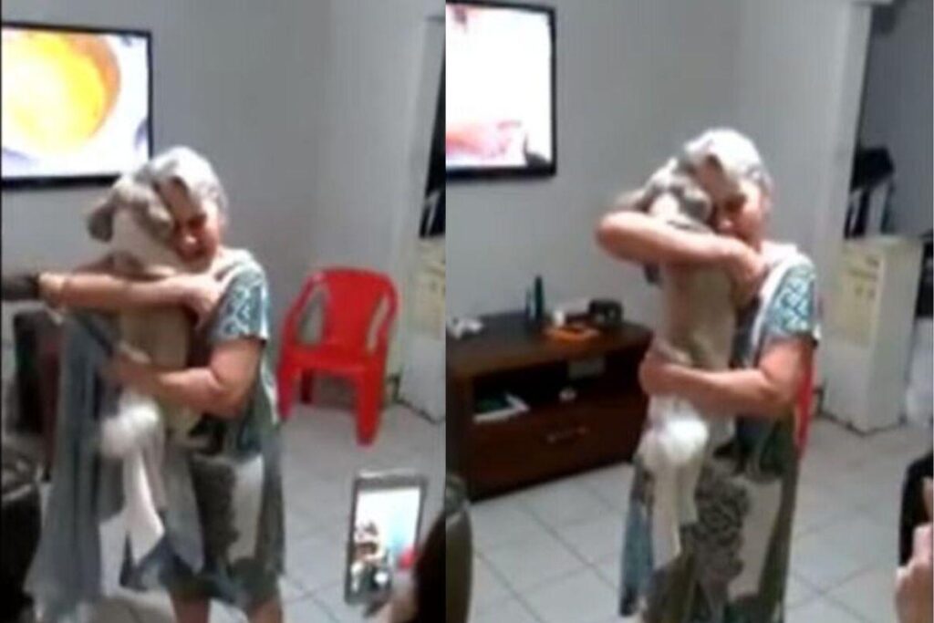 Ela considera o animal como um filho