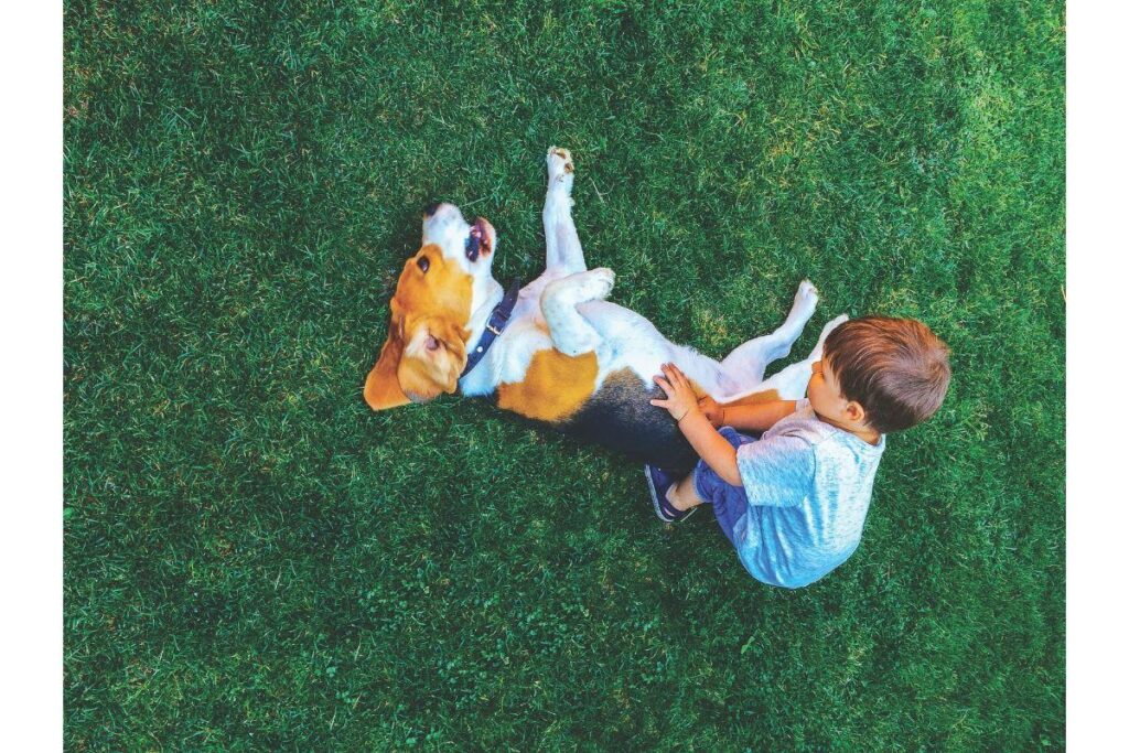 A criança foi levada de helicóptero até hospital em Belo Horizonte por conta dos ferimentos