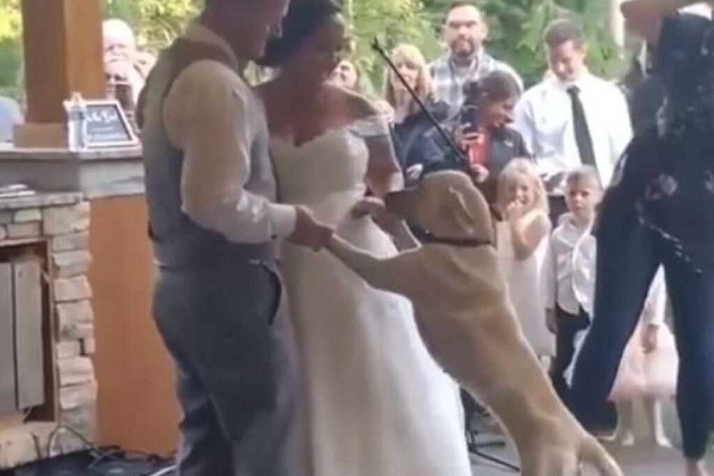 Eva participou de toda a cerimônia