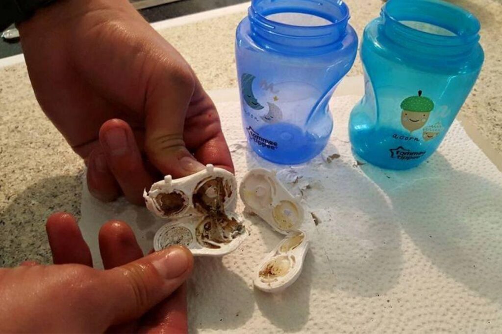 Mães encontraram mofo no copo dos filhos